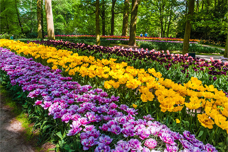Flower Garden & Herbs Garden at Orizzonte Baner Sus